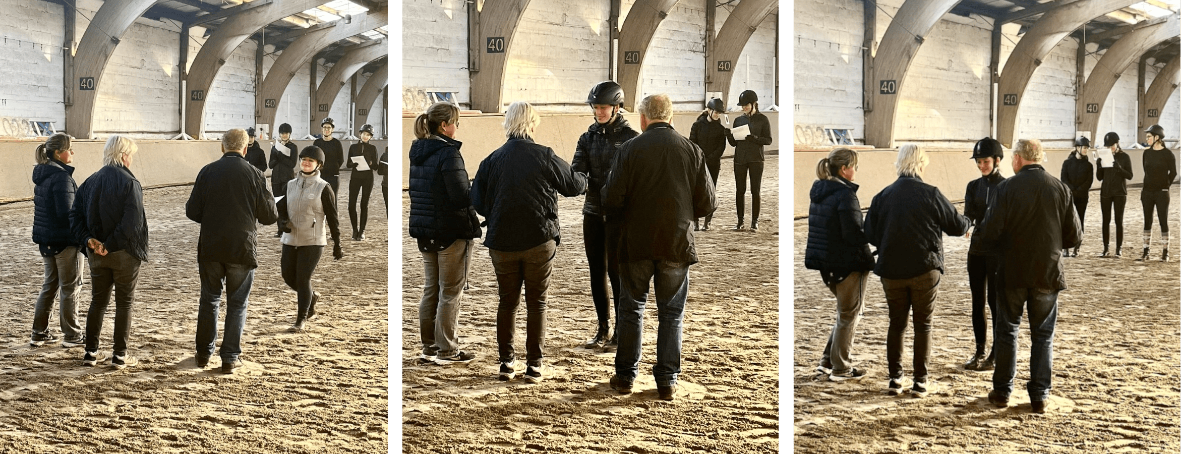 Reitabzeichen 4-6-min.png